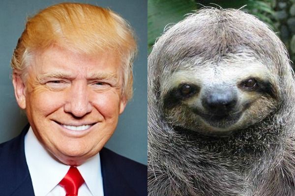 Donald-Trump-the-Sloth.jpg