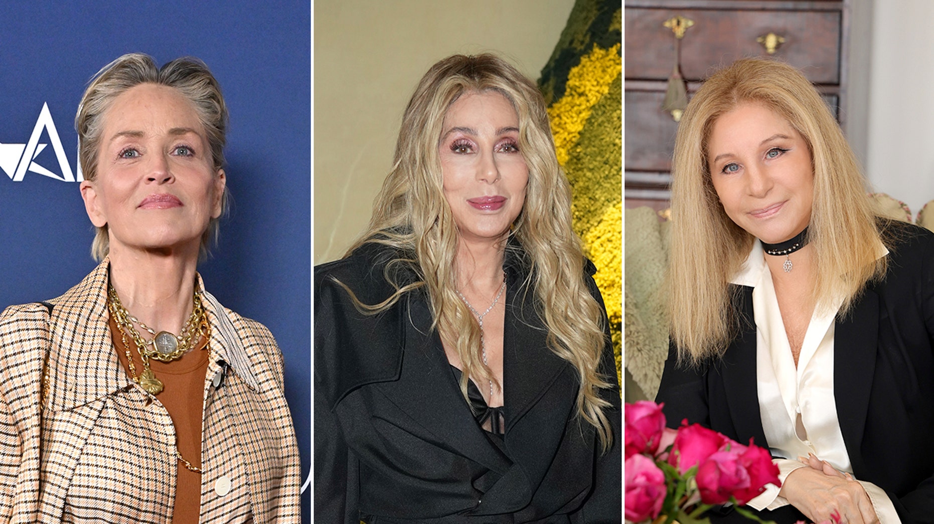 cher-sharone-stone-barbra-streisand.jpg