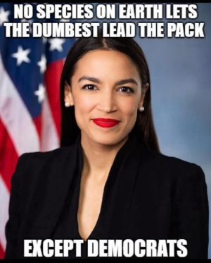 716636-a1e33b35353d6e23c6bb8d279bd5b21a.jpg