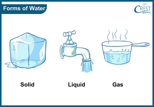 water-forms.png