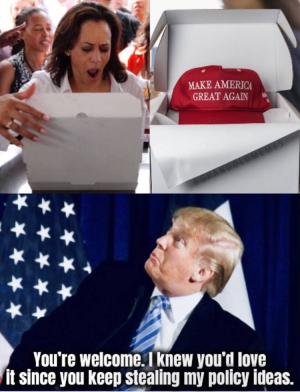 657318-3b570b57a41d14092be7f8a01d401df9.jpg
