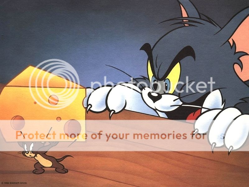 TomAndJerryWallpaper800_zps8pblrzls.jpg