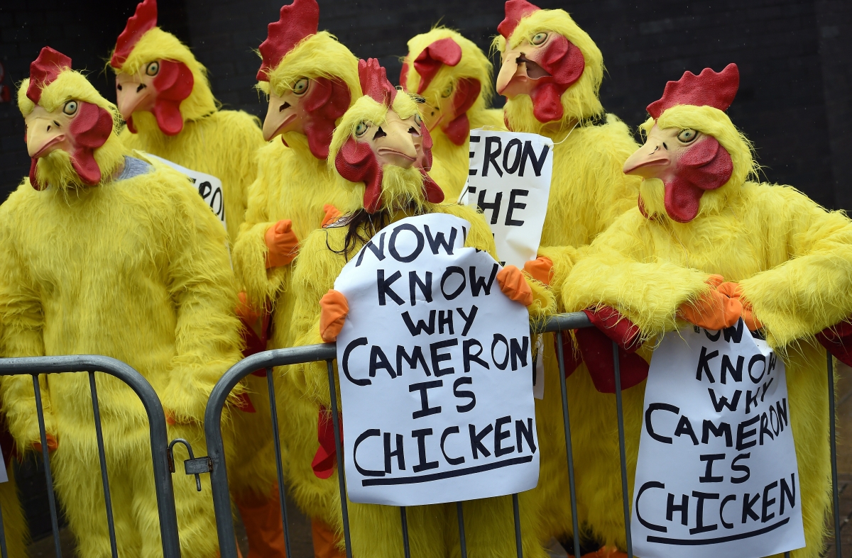 protesters-chicken-suits-during-election.jpg