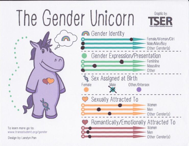 gender-unicorn-740x572.jpeg