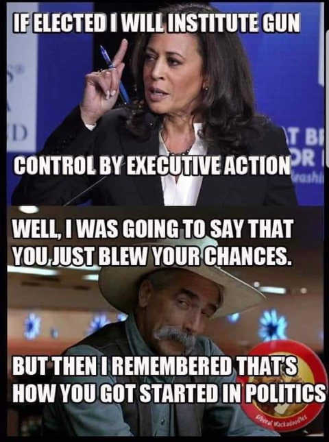 kamala-harris-gun-confiscation-say-just-blew-chances-but-then-remember-how-you-got-started-in-politics.jpg