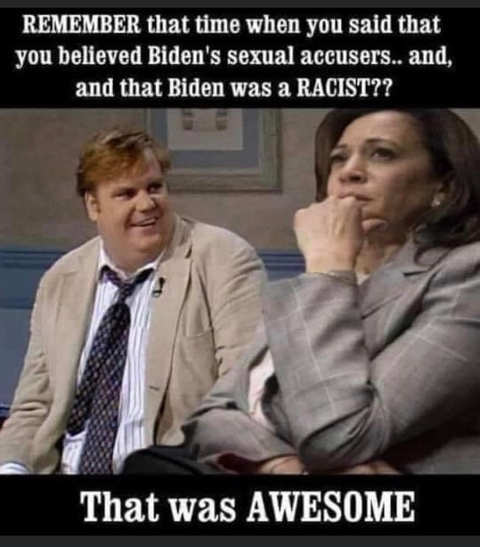 farley-kamala-harris-remember-when-you-said-believed-biden-sexual-accusers-and-hes-racist-awesome.jpg